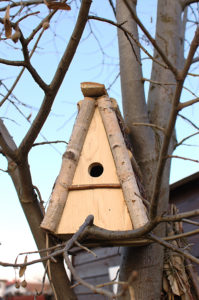 budka lęgowa dla małych ptaków sikorek z brzozowego drewna trójkątna polska produkcja ręcznie wykonana
