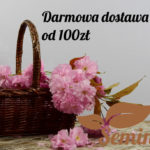koszyk-logoSemini