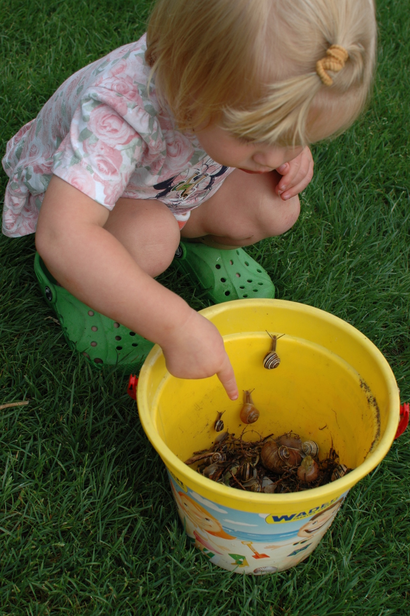 Zbieranie ślimaków to zabawa pouczająca