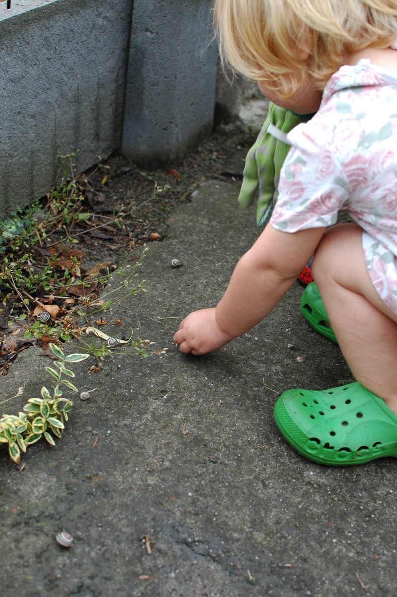 Zbieranie ślimaków to zabawa dla dzieci w ogrodzie
