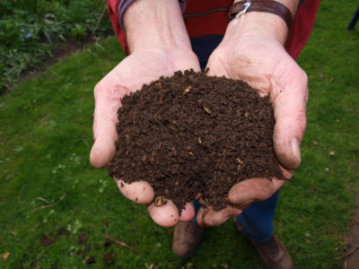 Kompost to najlepsze możliwe podłoże dla ogrodu!