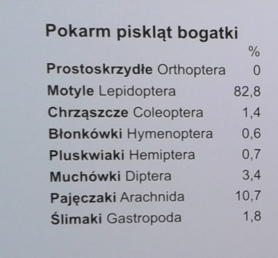większość pokarmu piskląt sikory to motyle większość pokarmu piskląt sikory to motyle.
