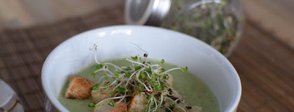 Zupa z brokuła + kiełki brokuła