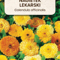 Nasiona nagietka lekarskiego