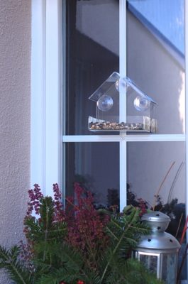 karmnik na szybę na oknie z ziarnem Semini