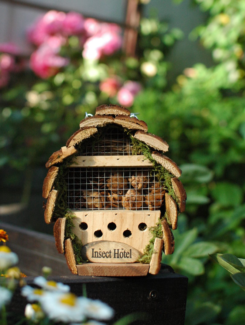 Domek dla owadów w letnim ogrodzie