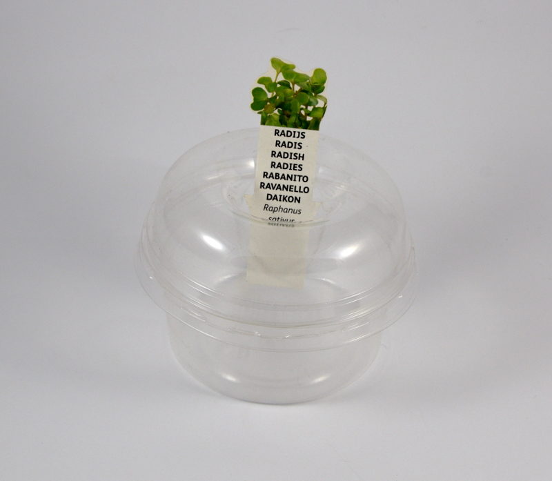 Kiełkownica biodegradowalna z tworzywa składa się z 2 części.