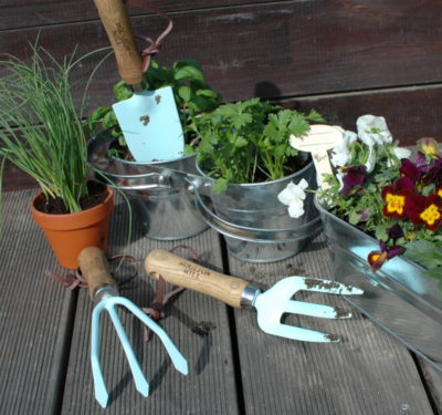 prezenty dla ogrodników ręczne narzędzia ogrodnicze niebieskie angielskie