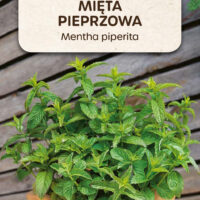 Mięta pieprzowa nasiona