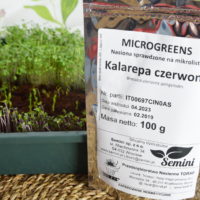kalarepa czerwona nasiona microgreens