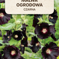 Malwa Czarna nasiona