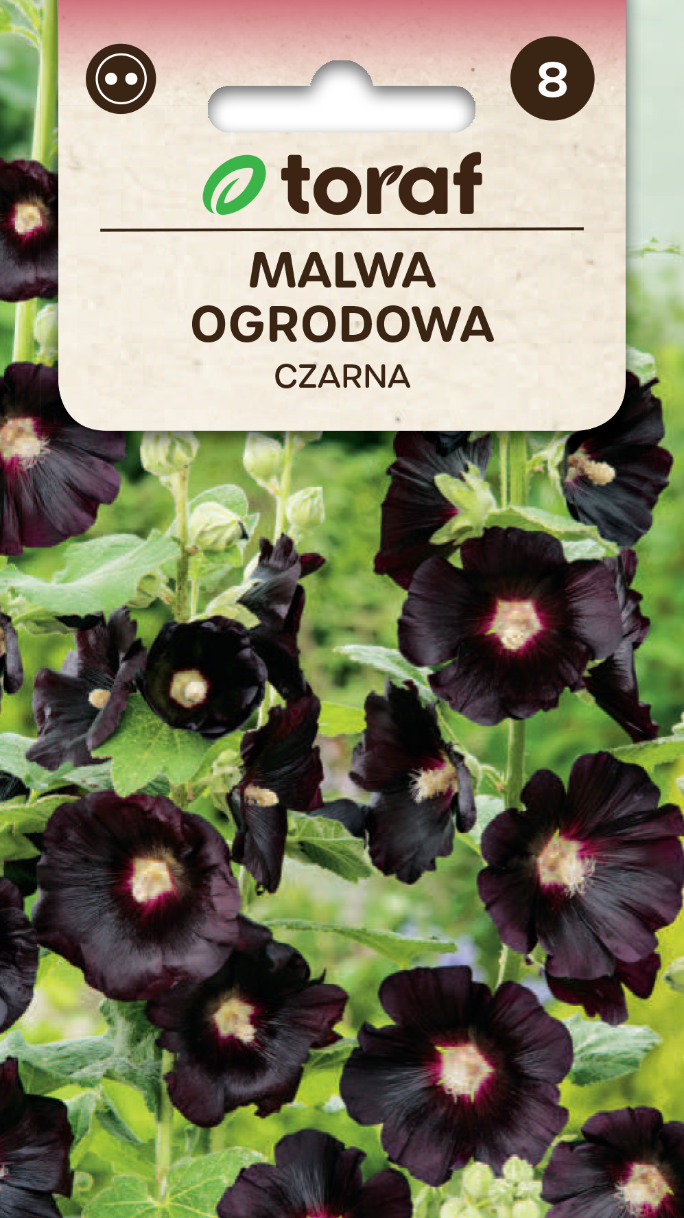 Malwa Czarna nasiona