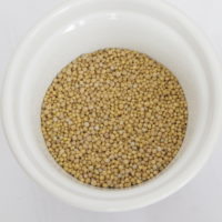 Gorczyca sarepska nasiona microgreens hurt