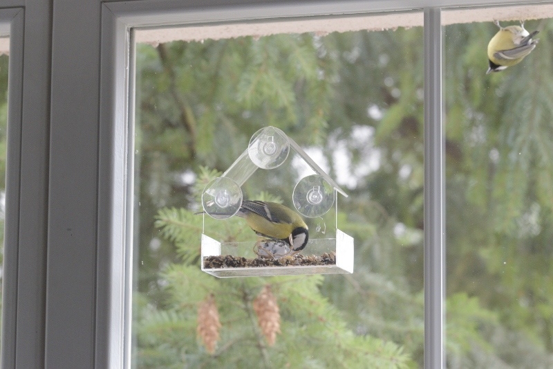 Karmnik na okno z sikorkami