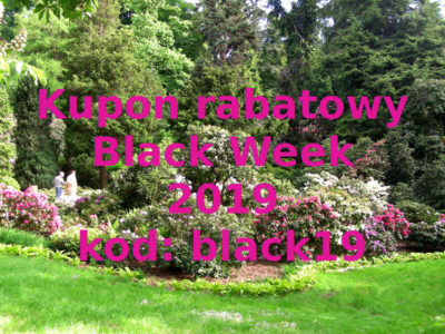 Kupon rabatowy black19