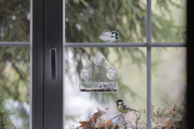 Jak zwabić ptaki do okna?