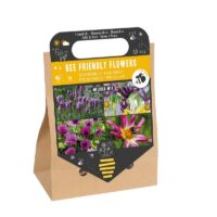 Cebule kwiatów dla pszczół