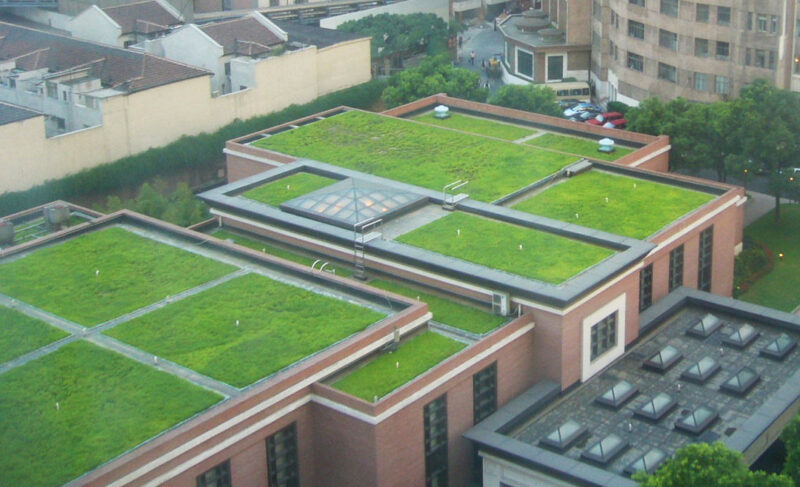 Mieszanka traw zielony dach