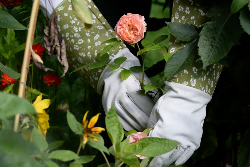 Skórzane rękawice do róż